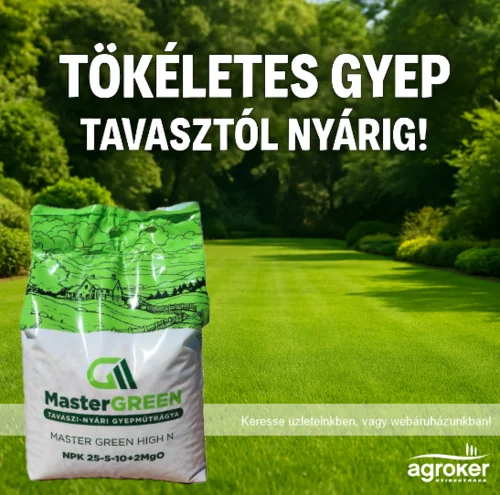 MASTERGREEN HIGH N 25/5/10+2MGO+S 5 KG