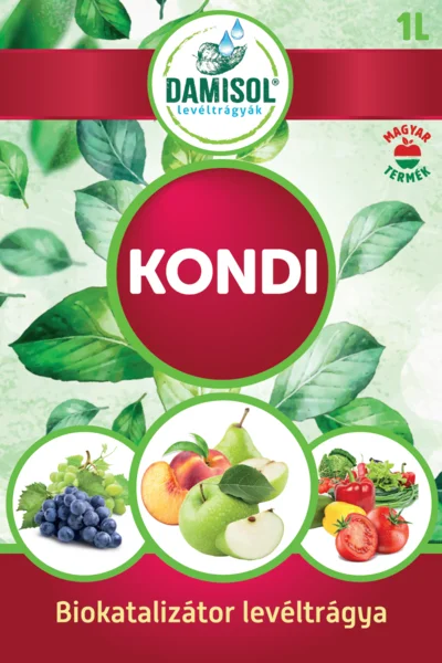DAMISOL KONDI 1 L