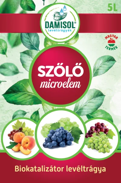DAMISOL SZŐLŐ-GYÜMÖLCS SPECIÁL 5 L