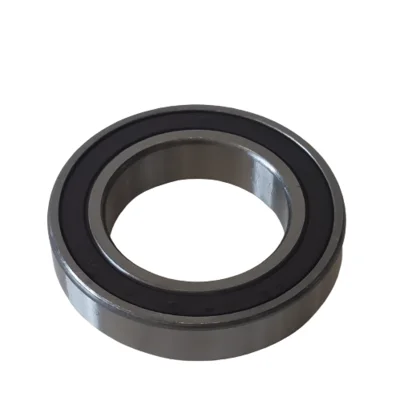 CSAPÁGY 6011 2RS 