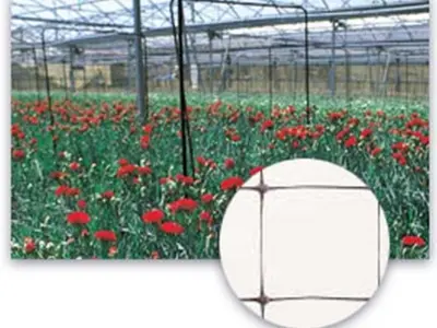 SZEGFŰHÁLÓ1,2X100 M  SZ-120/8 150X150 120202